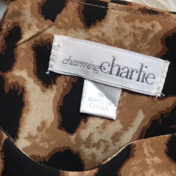 Charming Charlie Dress - Picture 4 of 4